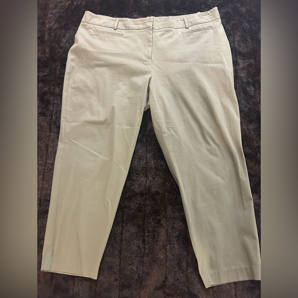 Style & Co Women’s Dress Pants Size 22W Olive Green Stretch Ankle